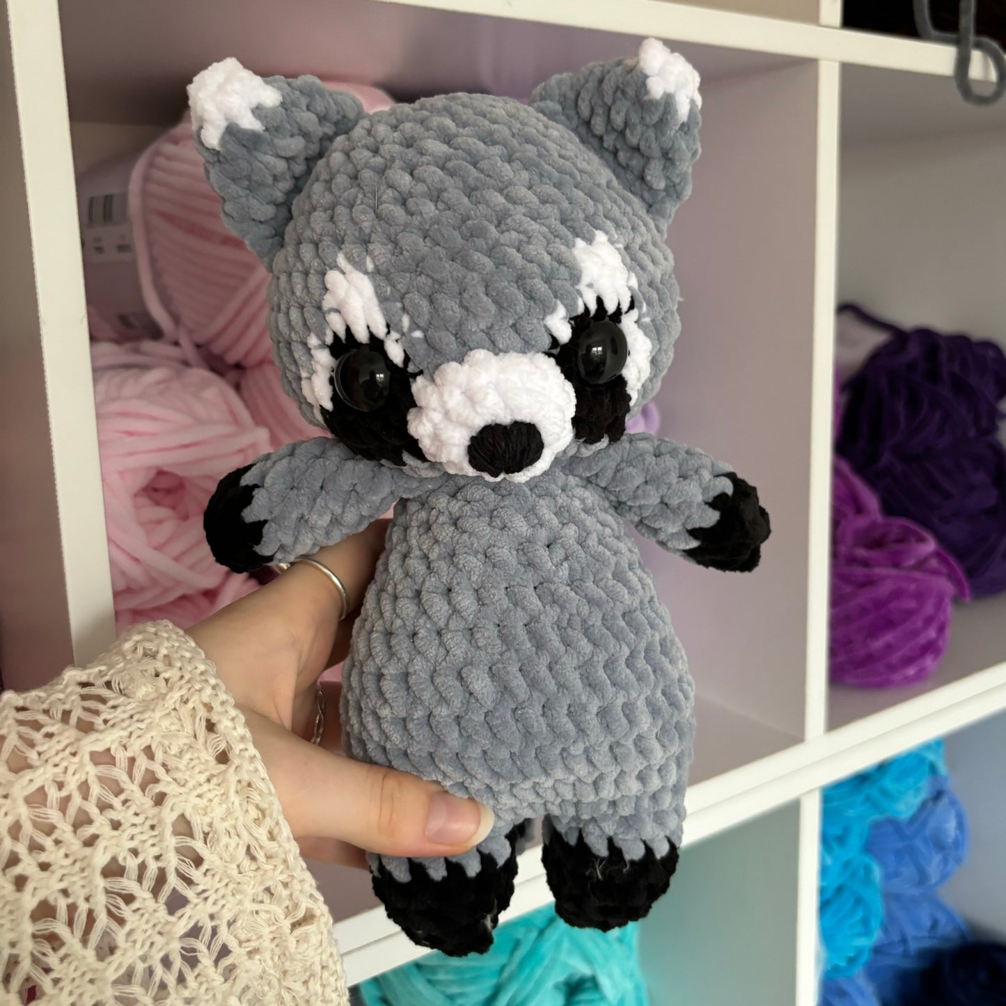 Raccoon